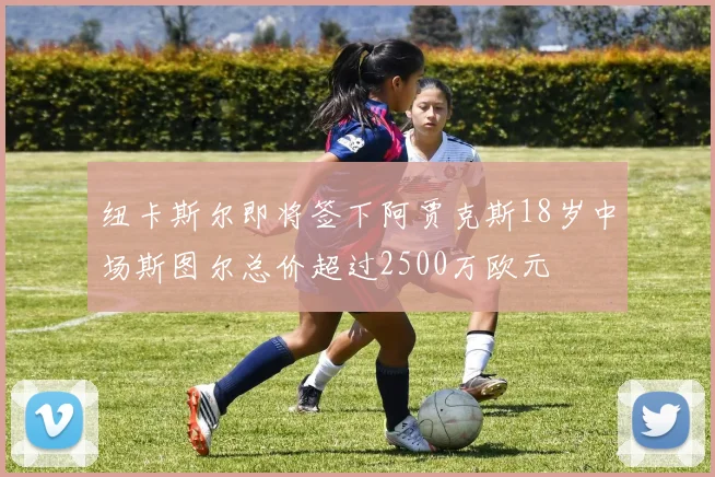 纽卡斯尔即将签下阿贾克斯18岁中场斯图尔总价超过2500万欧元